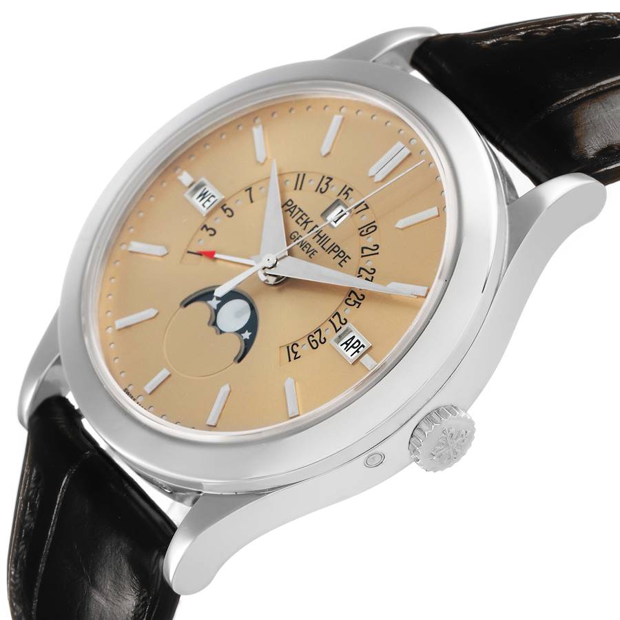 Patek Philippe Complications Perpetual Calendar Platinum watch