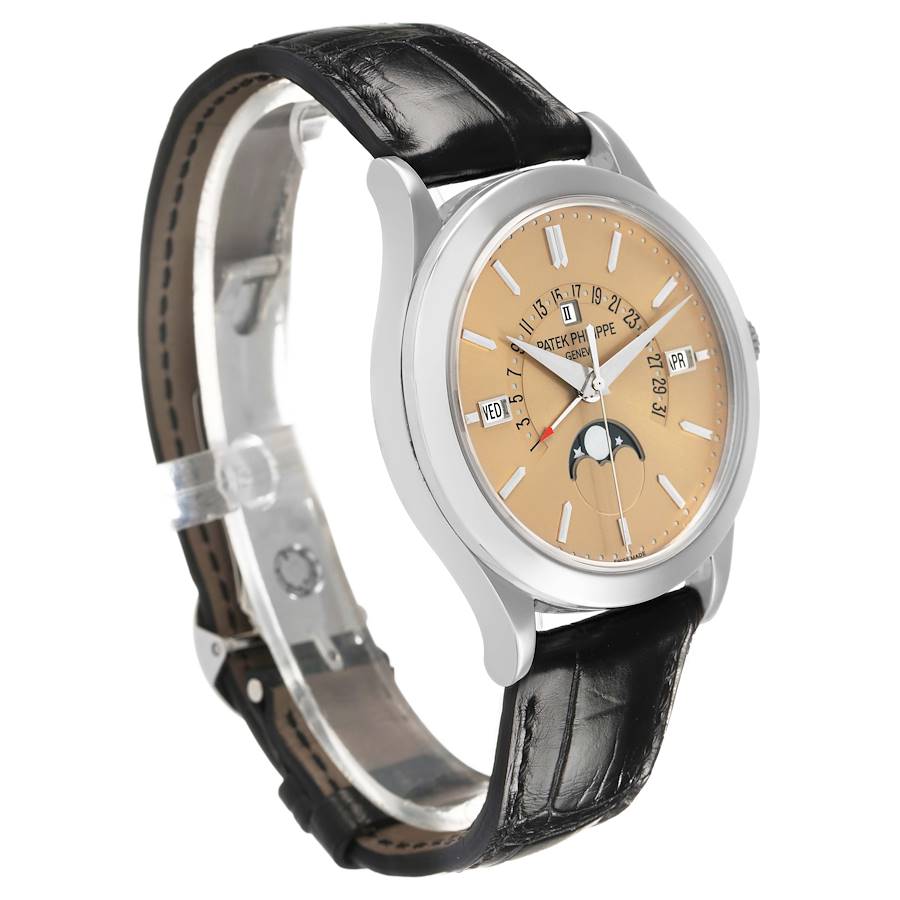 Patek Philippe Complications Perpetual Calendar Platinum watch